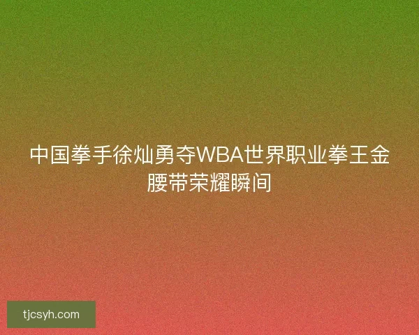 中国拳手徐灿勇夺WBA世界职业拳王金腰带荣耀瞬间